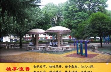 桂亭流香