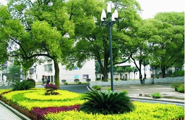 校园一角