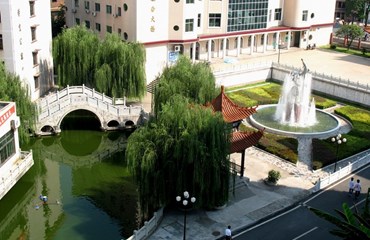 空中俯视