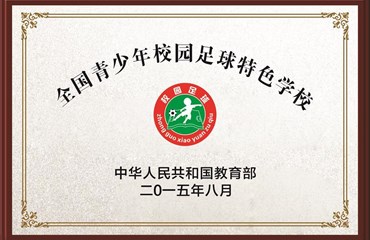 全国青少年校园足球特色学校